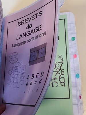 Un cahier divisé par domaines avec un système d'onglets